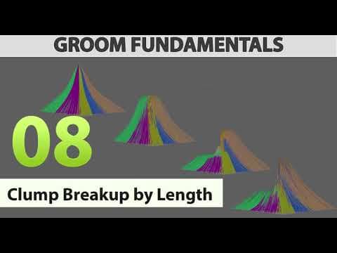 GROOM FUNDAMENTALS: lesson #08 Clump break up by length thumbnail