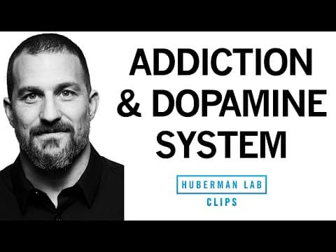 Addiction Explained, Rises & Falls in Dopamine | Dr. Andrew Huberman thumbnail