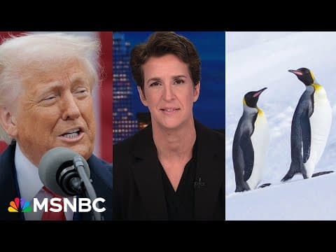 New Trump tariffs include countries with penguins but no people thumbnail