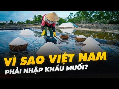 VÌ SAO VIỆT NAM PHẢI NHẬP KHẨU MUỐI? thumbnail