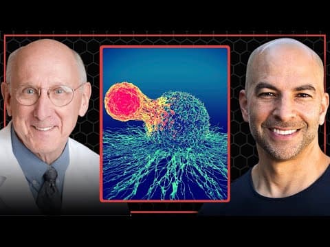 How the immune system works and why it seems to allow cancer to proliferate thumbnail