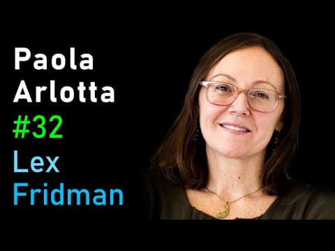 Paola Arlotta: Brain Development from Stem Cell to Organoid | Lex Fridman Podcast #32 thumbnail