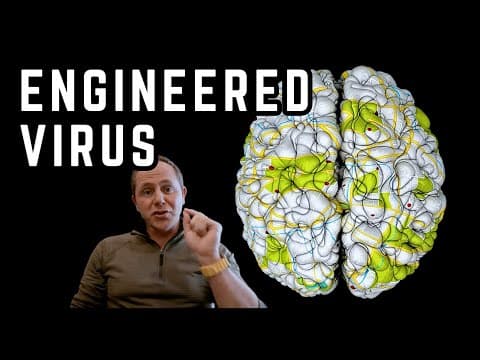 How Does Psilocybin Rewire Brain Connections? thumbnail