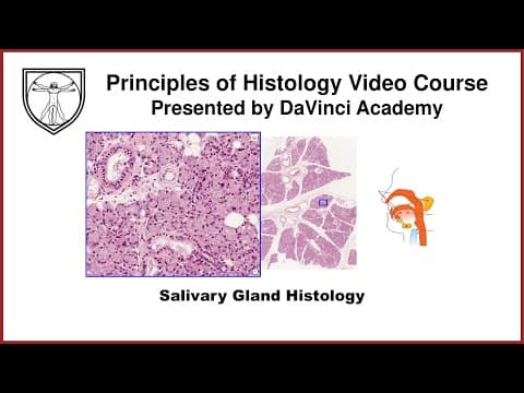 Salivary Gland Histology [GI Histology 3 of 4] thumbnail