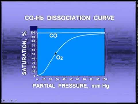 Blood Gas Transport thumbnail