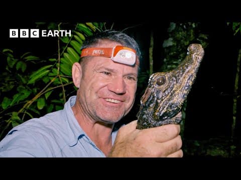 The Crocodile That Can Hold Its Breath For 2 Hours! | Deadly 60 | BBC Earth Kids thumbnail