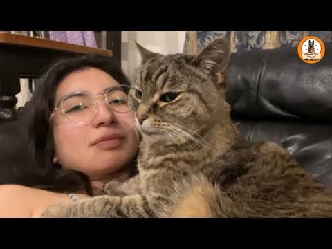 The Senior Cat Everyone Passed By — Until She Became My Therapy thumbnail