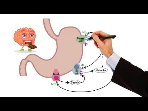 Pharmacology - GASTROINTESTINAL AND ANTIEMETIC DRUGS (MADE EASY) thumbnail