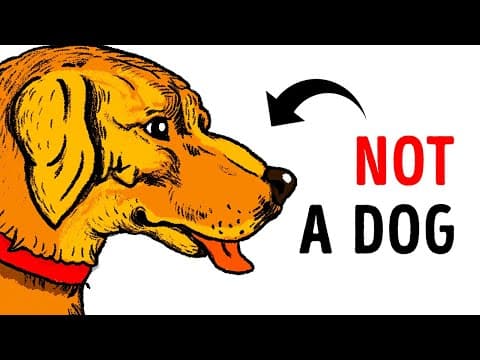 How to spot optical illusions and trick your eyes thumbnail