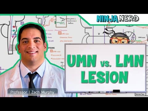 How to Distinguish UMN and LMN Lesions thumbnail