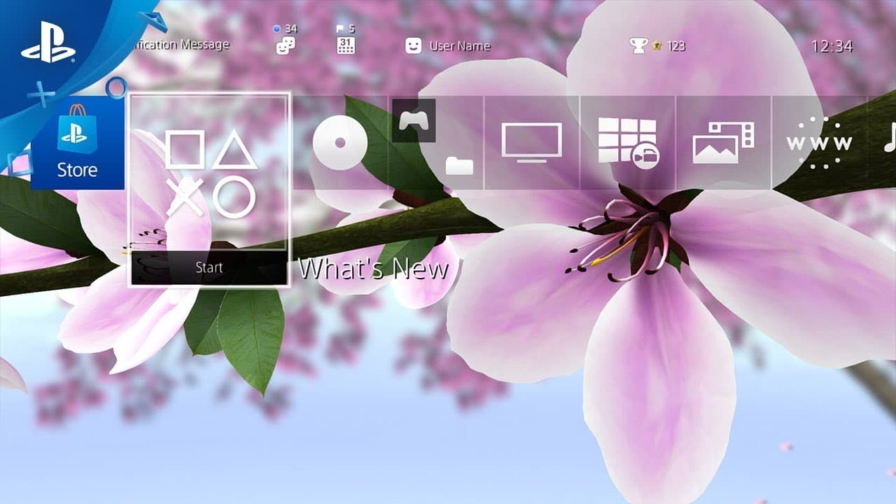 YouTube video player