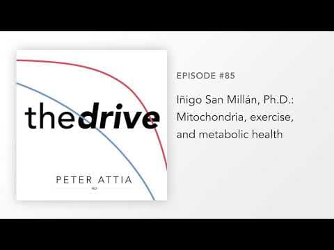 How Does Zone 2 Exercise Improve Metabolic Health? thumbnail