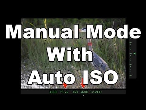 Manual Mode With Auto ISO thumbnail