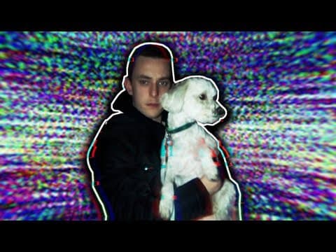 Can Dogs Sense Ghosts? thumbnail