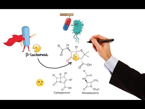 Pharmacology – ANTIBIOTICS – CELL WALL & MEMBRANE INHIBITORS (MADE EASY) thumbnail