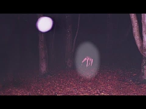 What Are Disturbing Wilderness Horror Stories? thumbnail
