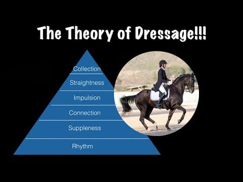 The Theory of Dressage thumbnail