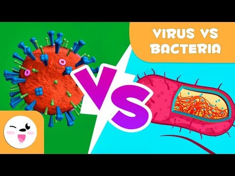 Viruses Vs. Bacteria - What are their differences? thumbnail