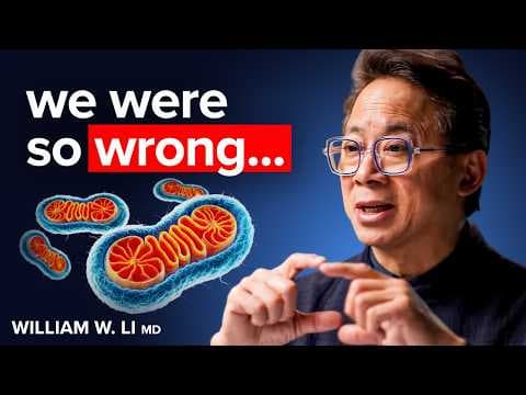 4 Foods to Make New Mitochondria (Scientific Proof) | Dr. William Li thumbnail