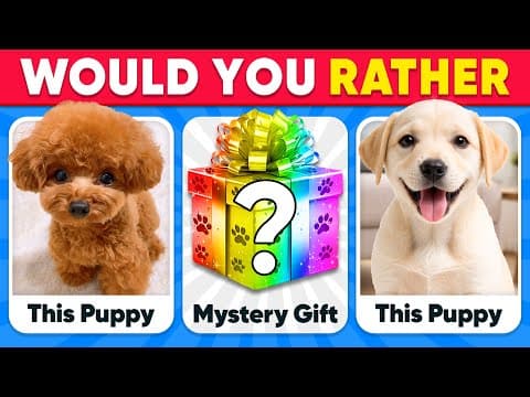 Would You Rather...? MYSTERY Gift 🐶🎁❓ ANIMALS Edition thumbnail