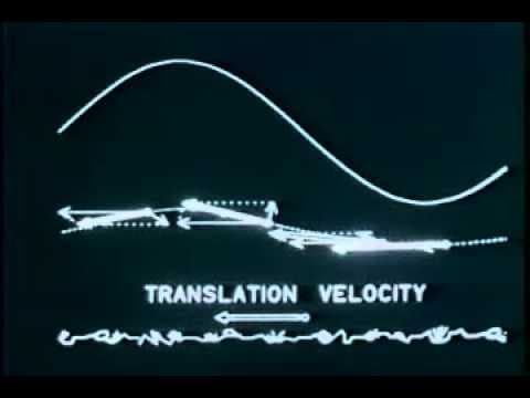 1. Eulerian and Lagrangian Descriptions in Fluid Mechanics thumbnail
