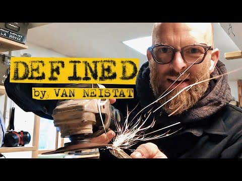 What Does it Mean to be Spirited? thumbnail