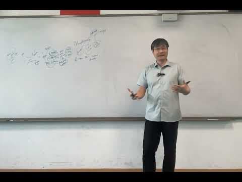 How Did the Aeneid Reshape the Roman Soul? thumbnail