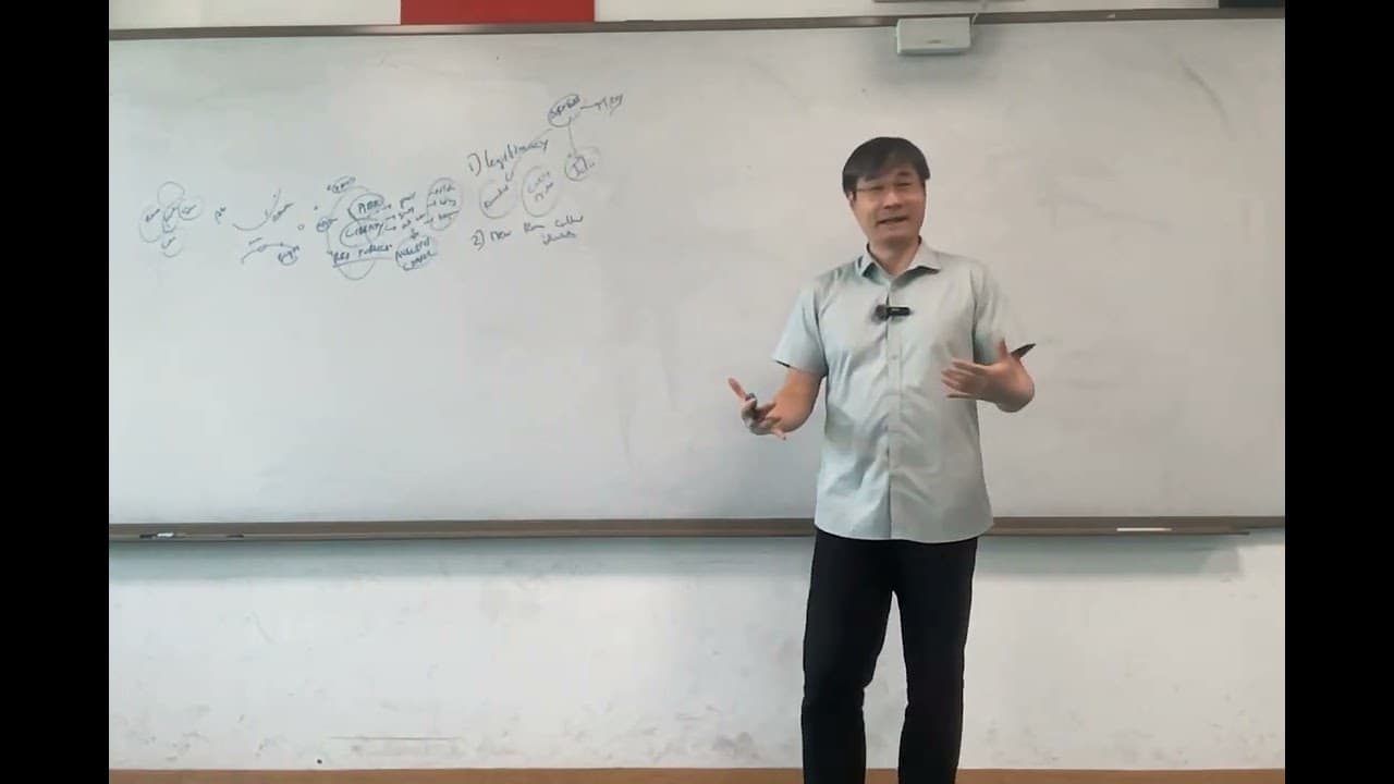YouTube video player