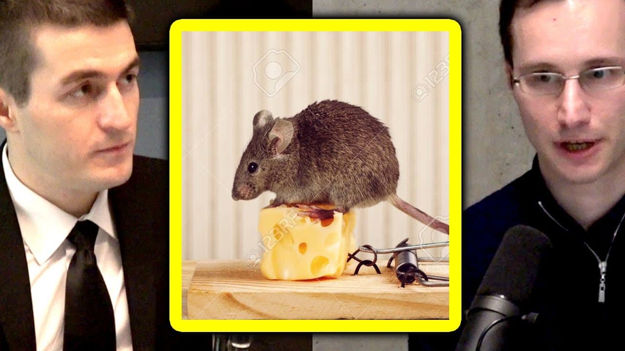 What Is Reinforcement Learning? | Sergey Levine and Lex Fridman | Glasp