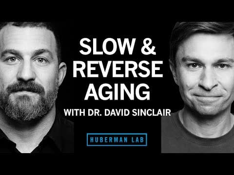 How Can You Slow Down Aging According to David Sinclair? thumbnail