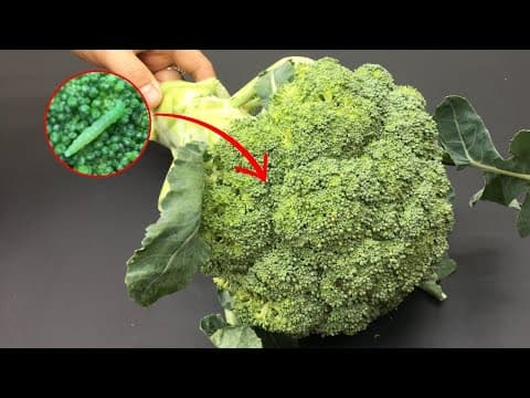 Washing Broccoli with Water Only is WRONG. One More Step to Clean And Safe! thumbnail