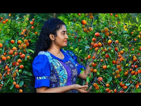 Tons of Himbutu fruits! 🍒 I made a summer drink, syrup & dessert from it's juicey flesh! thumbnail