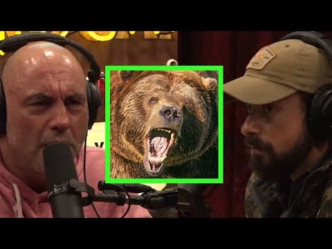 Ben O'Brien's Grizzly Bear Encounter thumbnail