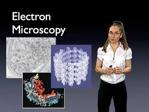 Eva Nogales (UC Berkeley): Introduction to Electron Microscopy thumbnail