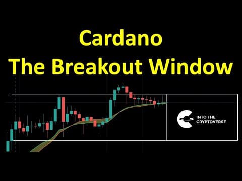 Cardano: The Breakout Window thumbnail