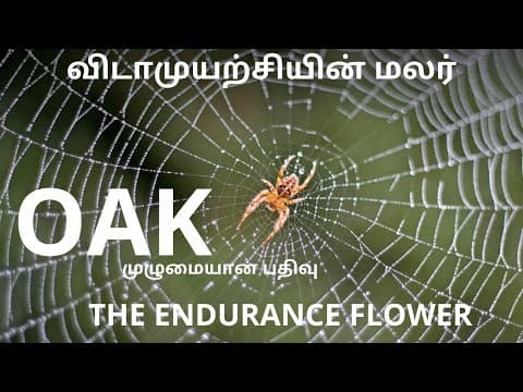 மலர் மருத்துவம் OAK--முழுமையான பதிவு  14ஆவது  மலர் (14) thumbnail