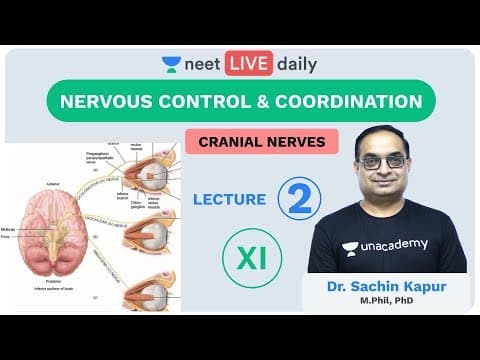 Neural Control and Coordination - L2 | Unacademy NEET | LIVE DAILY | NEET Biology | Dr. Sachin Sir thumbnail