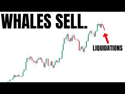 Big Whales Dump Bitcoin. Is This A BEAR Trap? thumbnail