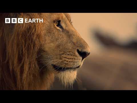 An Adventure Through Africa in 4K | BBC Earth thumbnail