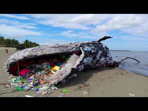 Most SHOCKING Facts About Plastic! thumbnail