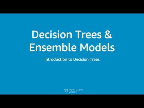 DTEL1 - 3 Introduction to Decision Trees thumbnail