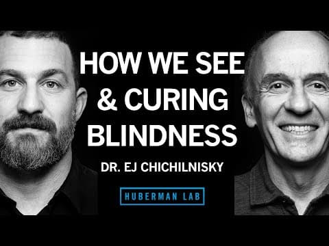 How the Brain Works, Curing Blindness & How to Navigate a Career Path | Dr. E.J. Chichilnisky thumbnail