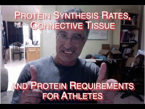 Protein Synthesis Rates, Connective Tissue and Protein Requirements for Athletes thumbnail