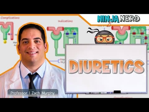 What Types of Diuretics Exist and How Do They Work? thumbnail
