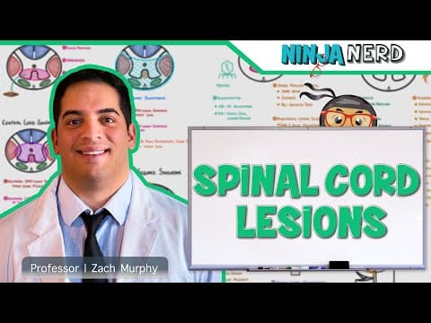 How to identify anterior, posterior, central cord syndromes thumbnail