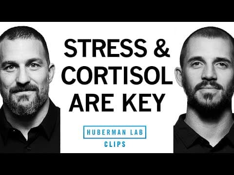 How Does Cortisol Affect Fitness Improvement? thumbnail