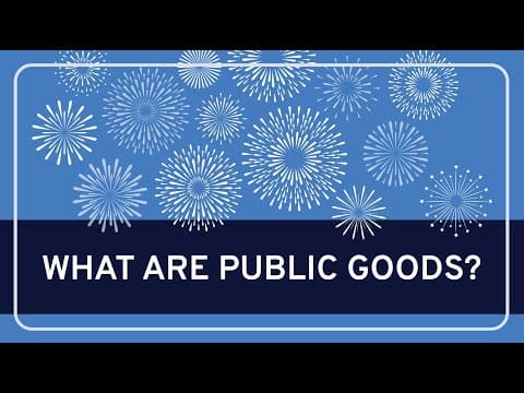 PHILOSOPHY - Rational Choice Theory: What are Public Goods? [HD] thumbnail