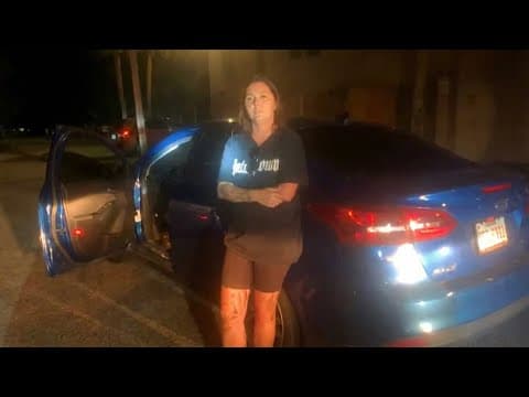 Lady Gets Out Of The Car And Causes A Felony thumbnail