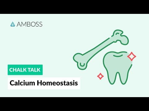 Calcium Homeostasis: Regulation & Maintenance thumbnail
