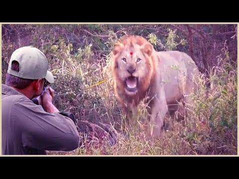 Amazing: How Do American Hunters And Farmers Deal With Million Of Wild Boar And Lion By Guns thumbnail